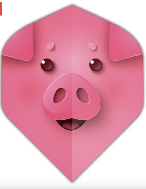 Datadart Unbranded Flights ~ Pink Pig